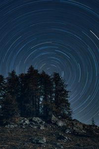 Preview wallpaper trees, starry sky, long exposure, rotation, night, dark