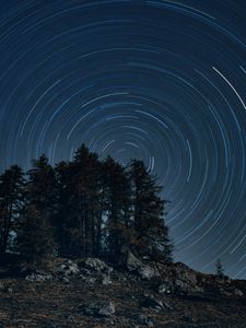 Preview wallpaper trees, starry sky, long exposure, rotation, night, dark