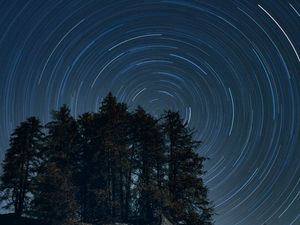 Preview wallpaper trees, starry sky, long exposure, rotation, night, dark