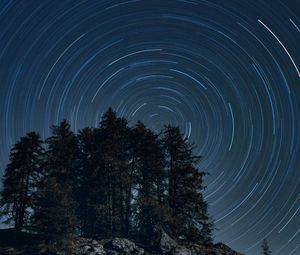 Preview wallpaper trees, starry sky, long exposure, rotation, night, dark