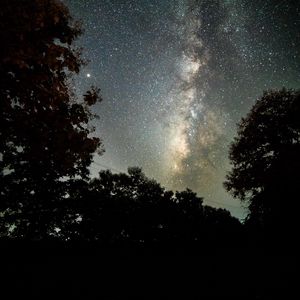Preview wallpaper trees, starry sky, night, dark, nature