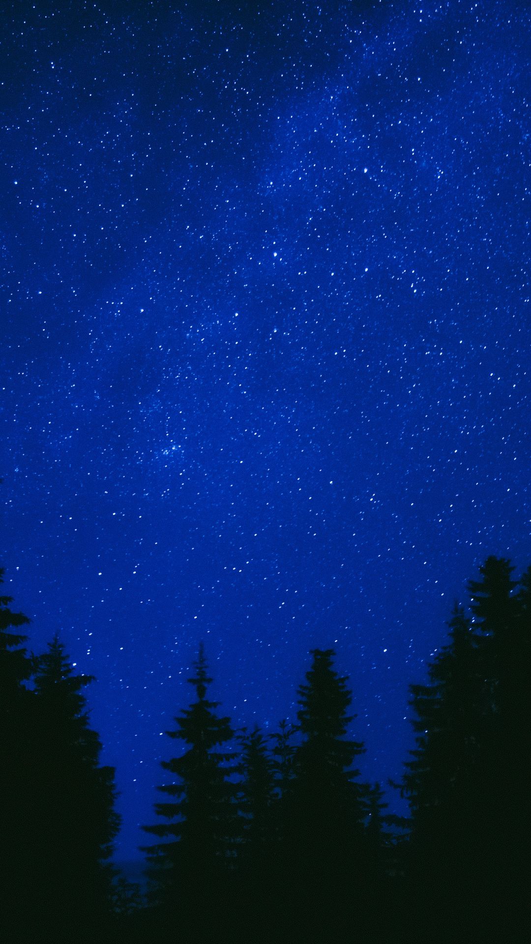 Download Wallpaper 1080X1920 Trees, Starry Sky, Night, Dark, Blue