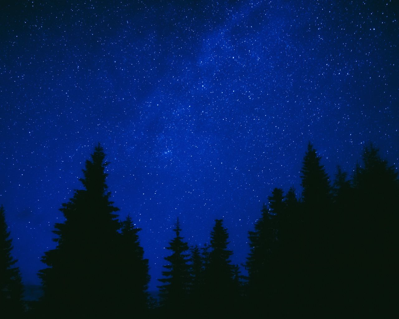 Download Wallpaper 1280x1024 Trees, Starry Sky, Night, Dark, Blue 