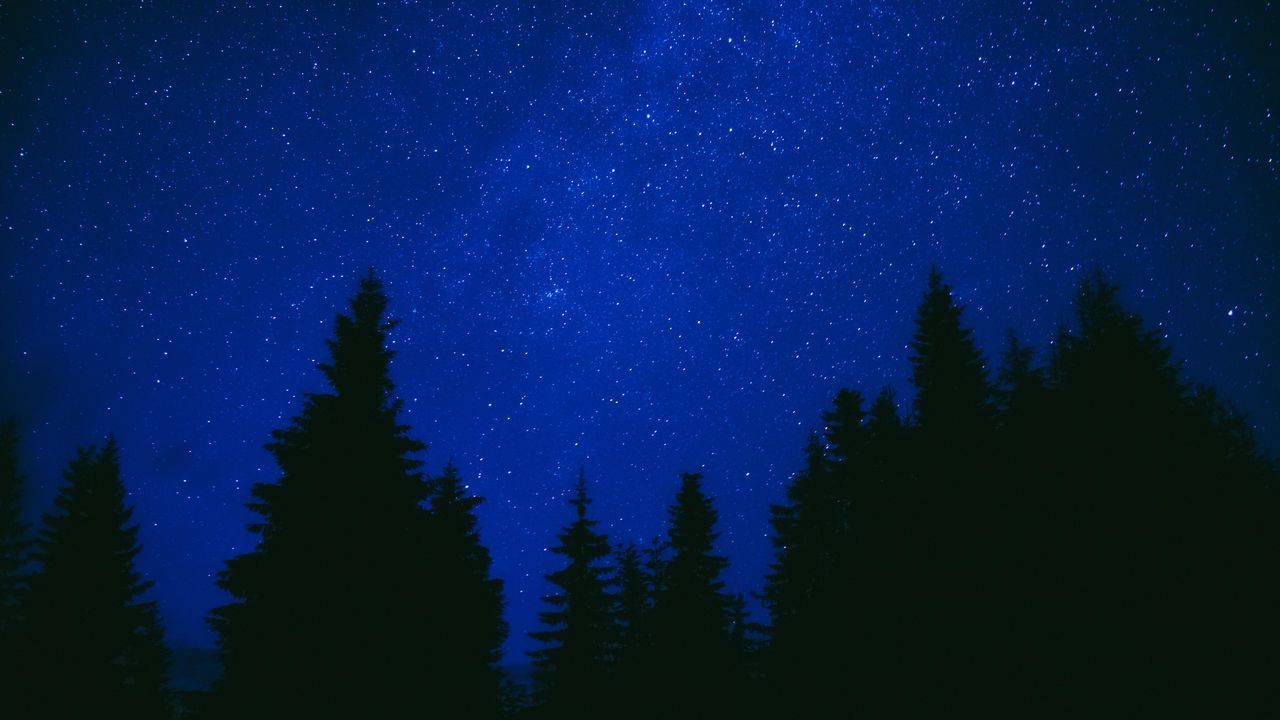 Wallpaper trees, starry sky, night, dark, blue