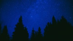 Preview wallpaper trees, starry sky, night, dark, blue