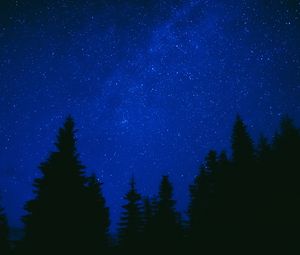 Preview wallpaper trees, starry sky, night, dark, blue