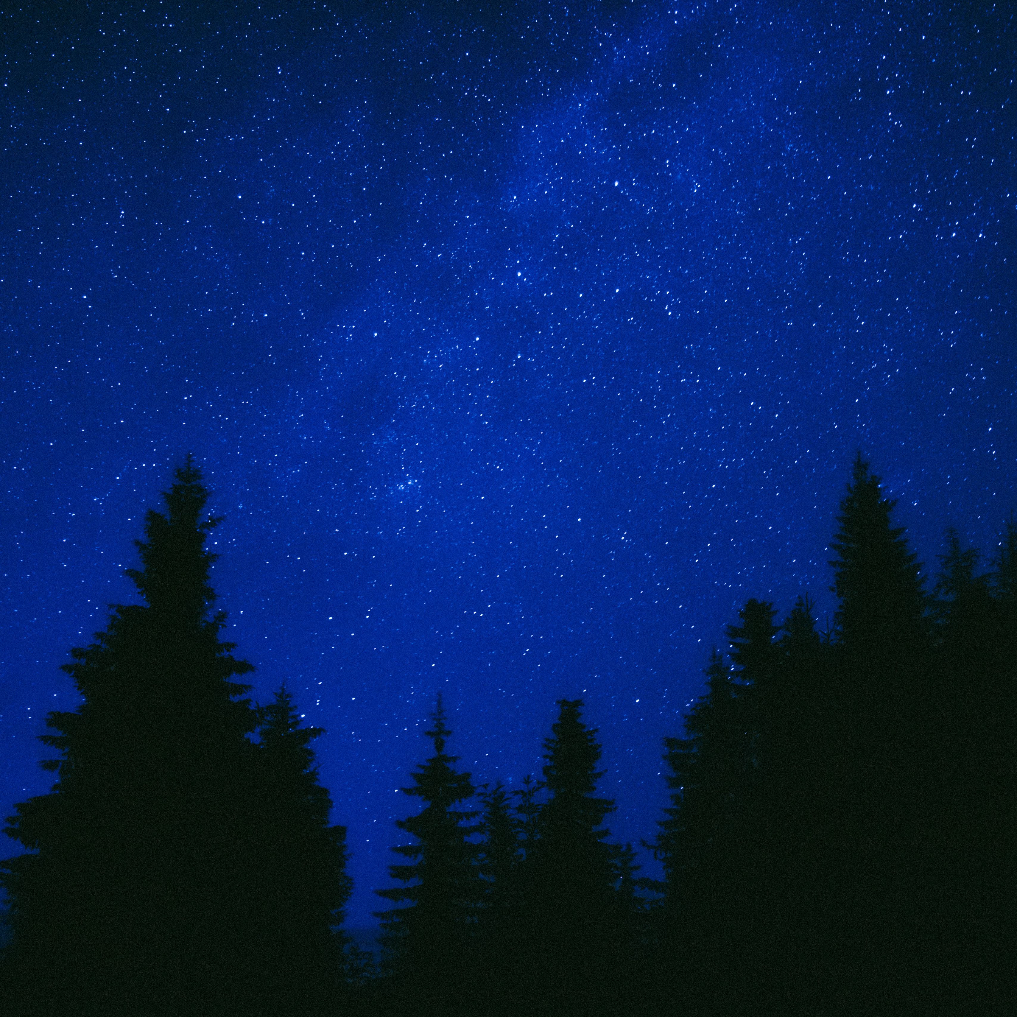 Download wallpaper 3415x3415 trees, starry sky, night, dark, blue ipad ...