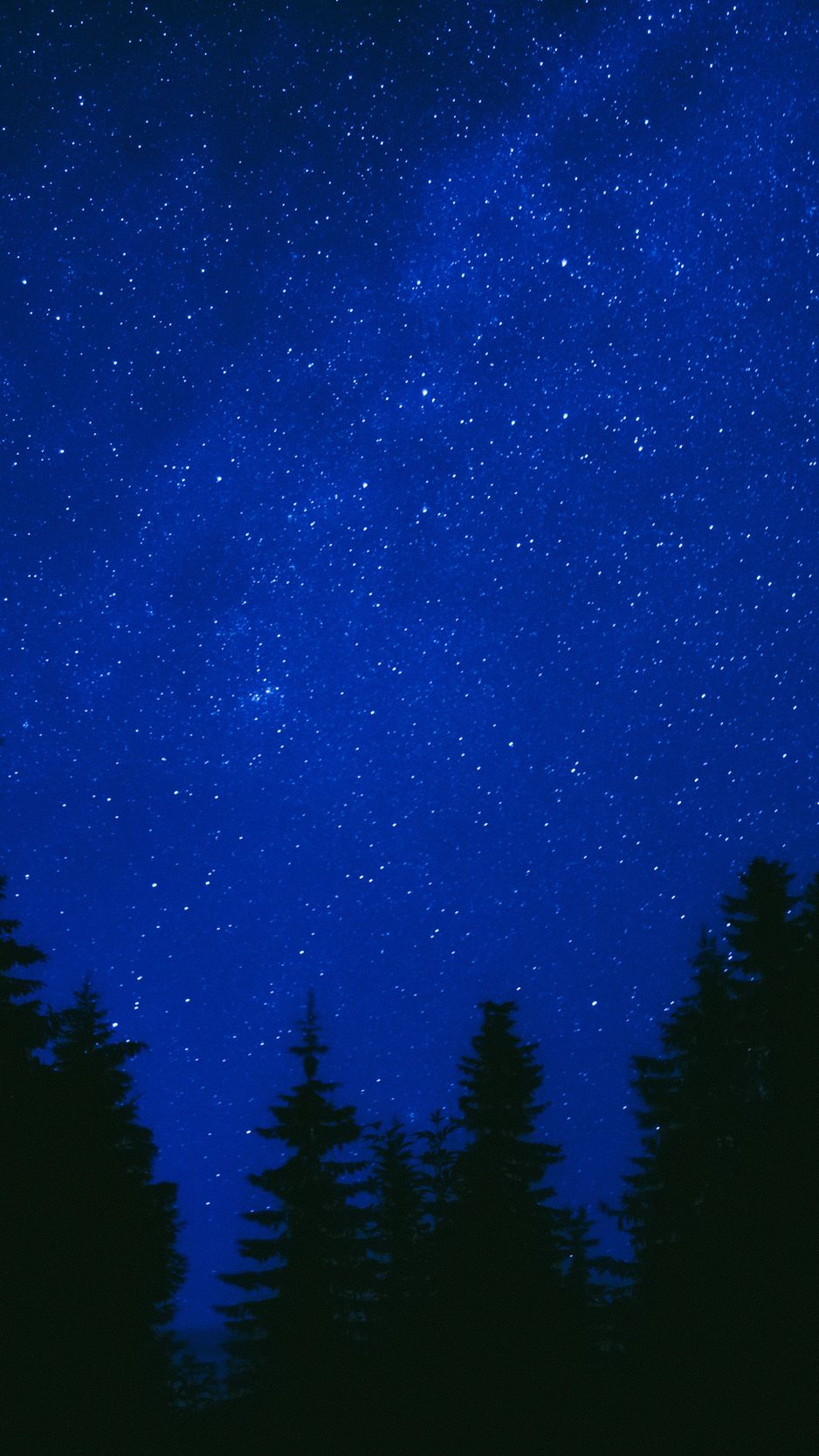 Download Wallpaper 938x1668 Trees Starry Sky Night Dark Blue Iphone