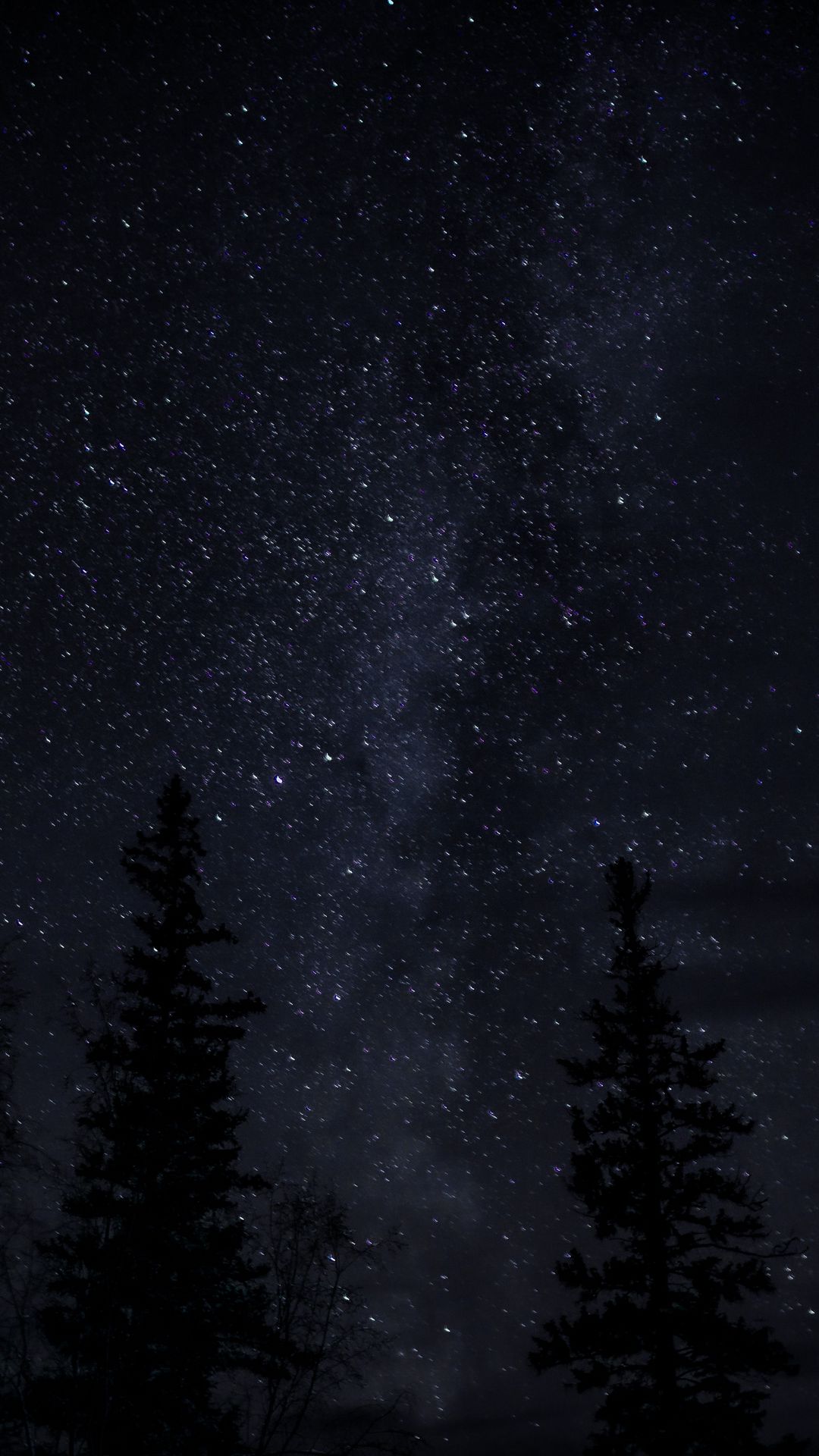 Download wallpaper 1080x1920 trees, starry sky, night, dark, darkness ...