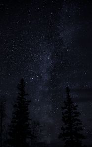 Preview wallpaper trees, starry sky, night, dark, darkness