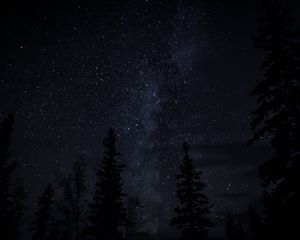 Preview wallpaper trees, starry sky, night, dark, darkness