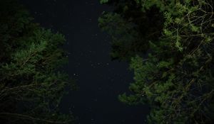 Preview wallpaper trees, starry sky, night, stars, darkness