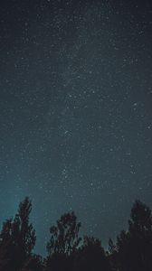 Preview wallpaper trees, starry sky, night, dark