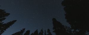 Preview wallpaper trees, starry sky, night, bottom view