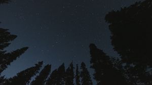 Preview wallpaper trees, starry sky, night, bottom view