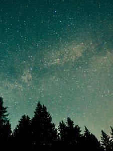 Preview wallpaper trees, starry sky, stars, space