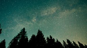 Preview wallpaper trees, starry sky, stars, space