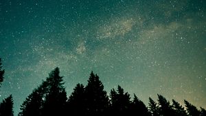 Preview wallpaper trees, starry sky, stars, space