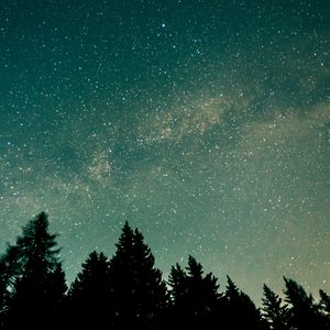 Preview wallpaper trees, starry sky, stars, space