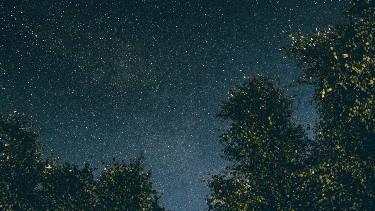 Wallpaper trees, starry sky, stars, night