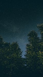 Preview wallpaper trees, starry sky, stars, night