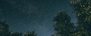 Preview wallpaper trees, starry sky, stars, night