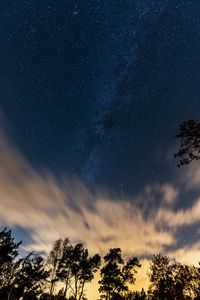 Preview wallpaper trees, starry sky, stars, clouds