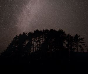 Preview wallpaper trees, starry sky, stars, nebula, space