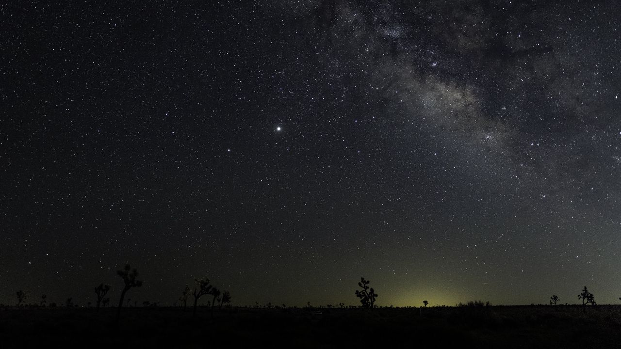 Wallpaper trees, starry sky, stars, night, horizon