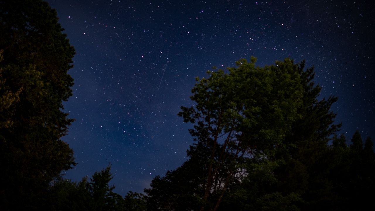 Wallpaper trees, starry sky, stars, night, dark, long expourse