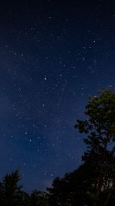 Preview wallpaper trees, starry sky, stars, night, dark, long expourse