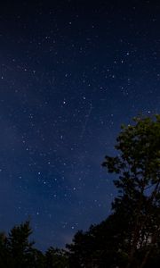Preview wallpaper trees, starry sky, stars, night, dark, long expourse