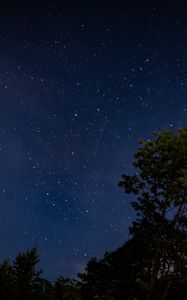 Preview wallpaper trees, starry sky, stars, night, dark, long expourse