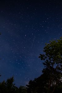 Preview wallpaper trees, starry sky, stars, night, dark, long expourse