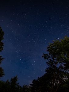 Preview wallpaper trees, starry sky, stars, night, dark, long expourse