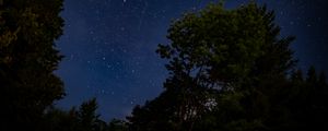 Preview wallpaper trees, starry sky, stars, night, dark, long expourse