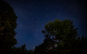 Preview wallpaper trees, starry sky, stars, night, dark, long expourse