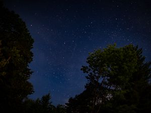 Preview wallpaper trees, starry sky, stars, night, dark, long expourse