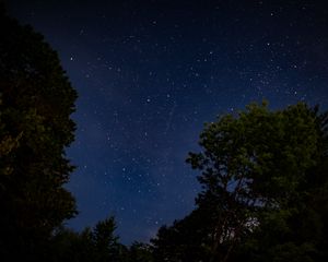 Preview wallpaper trees, starry sky, stars, night, dark, long expourse