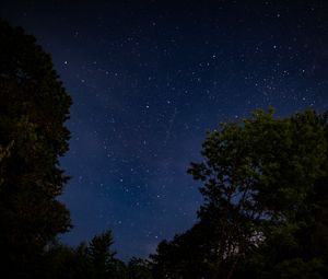 Preview wallpaper trees, starry sky, stars, night, dark, long expourse