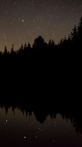 Preview wallpaper trees, starry sky, water, reflection, night