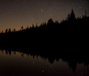 Preview wallpaper trees, starry sky, water, reflection, night