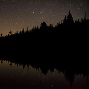 Preview wallpaper trees, starry sky, water, reflection, night