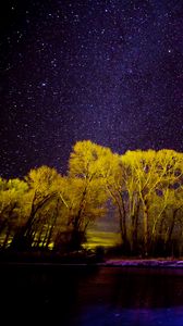 Preview wallpaper trees, stars, lake, night, purple
