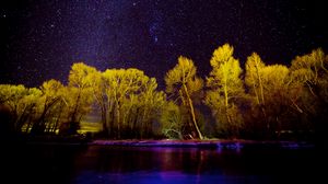 Preview wallpaper trees, stars, lake, night, purple