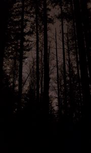 Preview wallpaper trees, stars, night, dark