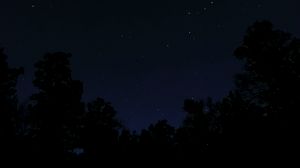 Preview wallpaper trees, stars, night, dark, darkness