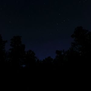 Preview wallpaper trees, stars, night, dark, darkness