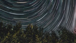 Preview wallpaper trees, stars, rotation, tops