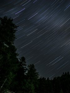 Preview wallpaper trees, stars, rotation, long exposure, dark